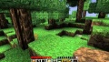 LP-Minecraft-thumb-111.jpg